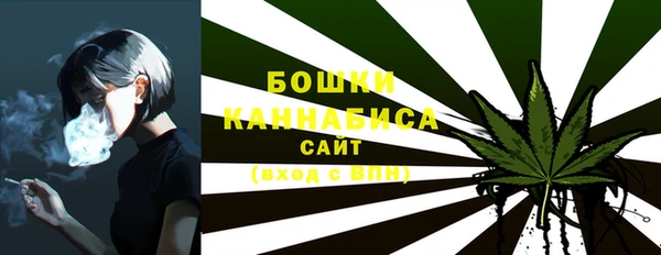 apvp Арсеньев