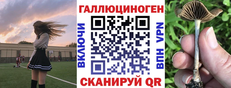хочу   Серафимович  Галлюциногенные грибы MAGIC MUSHROOMS 