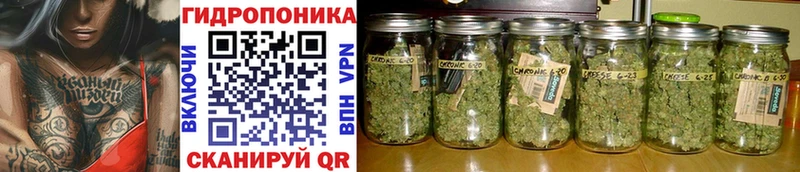 МАРИХУАНА VHQ  закладки  Серафимович 